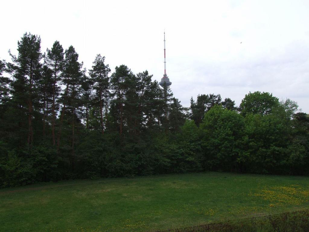Karolina Park Vilnius